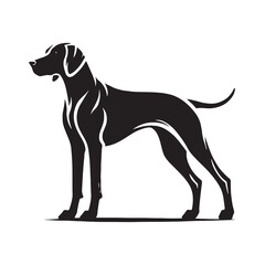 Strong and confident Weimaraner silhouette with precise details - Weimaraner illustration - minimal Weimaraner vector - dog silhouette
