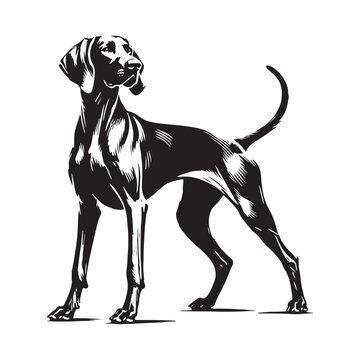 Unique Weimaraner silhouette designed for stylish compositions - Weimaraner illustration - minimal Weimaraner vector - dog silhouette
