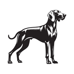 Sleek Weimaraner silhouette highlighting grace and agility - Weimaraner illustration - minimal Weimaraner vector - dog silhouette
