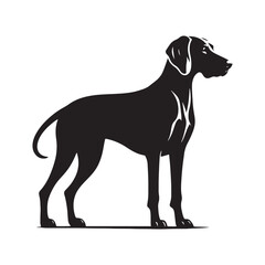 Striking Weimaraner silhouette ideal for branding and decoration - Weimaraner illustration - minimal Weimaraner vector - dog silhouette

