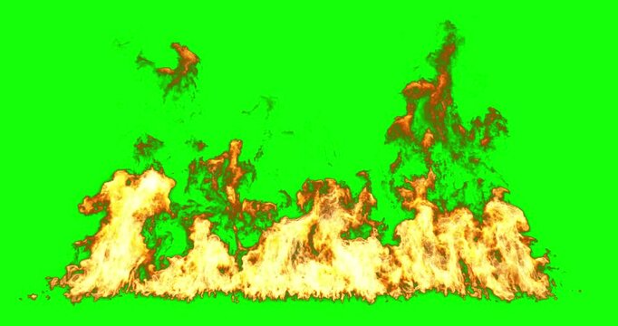Realistic rising fire flames row on ground green screen backgrounds element 3d rendering chroma key
