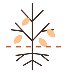 Simplified tree with branches and roots divided by horizontal dashed line, representing growth, division, and balance. Ideal for nature, biology, sustainability, growth, ecosystem education