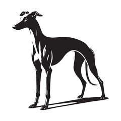 Stylish Whippet silhouette with bold and clear outlines - Whippet illustration - minimal Whippet vector - dog silhouette
