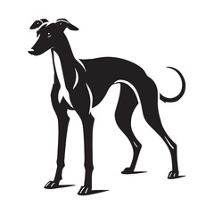 Obraz premium Whippet silhouette with an aerodynamic and smooth form - Whippet illustration - minimal Whippet vector - dog silhouette 