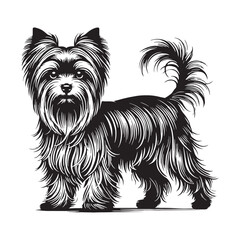 Yorkshire Terrier silhouette designed with sleek and refined details - Yorkshire Terrier illustration - minimal Yorkshire Terrier vector - dog silhouette
