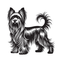 Minimalist Yorkshire Terrier silhouette perfect for stylish branding - Yorkshire Terrier illustration - minimal Yorkshire Terrier vector - dog silhouette
