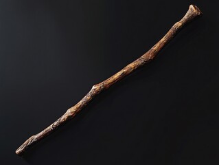 Ultra-Detailed Stick Icon Photo