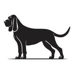 Strong Bloodhound silhouette showcasing its alert and poised form - Bloodhound illustration - minimal Bloodhound vector - dog silhouette
