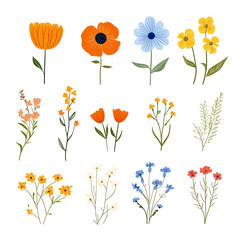 Colorful illustration of various flowers in orange, blue, and yellow