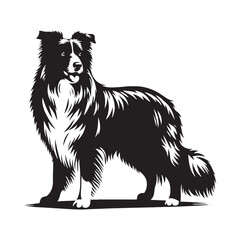 Simple and elegant Border Collie silhouette for versatile designs - Border Collie illustration - minimal Border Collie vector - dog silhouette
