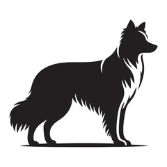 Bold and energetic Border Collie silhouette featuring dynamic details - Border Collie illustration - minimal Border Collie vector - dog silhouette
