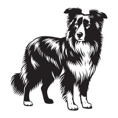 Fototapeta premium Border Collie silhouette with a sleek and minimalist appearance - Border Collie illustration - minimal Border Collie vector - dog silhouette 