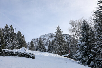 Snowy landscapes in Caux, above Montreux