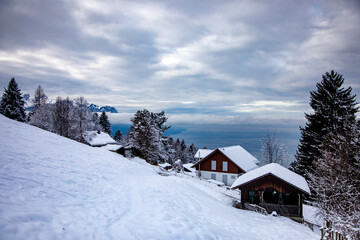 Snowy landscapes in Caux, above Montreux