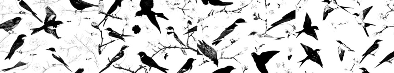 Birds are depicted in hand drawn illustrations in a vintage style surrounded by spring blossom flowers