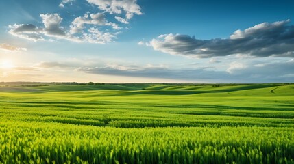 Obraz premium Serene Sunset over Rolling Green Fields