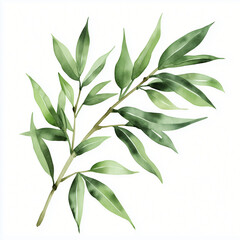Fototapeta premium Watercolor hand-painted green bamboo leaf painting illustration isolated on a white background, bamboo branch illustration, AI
