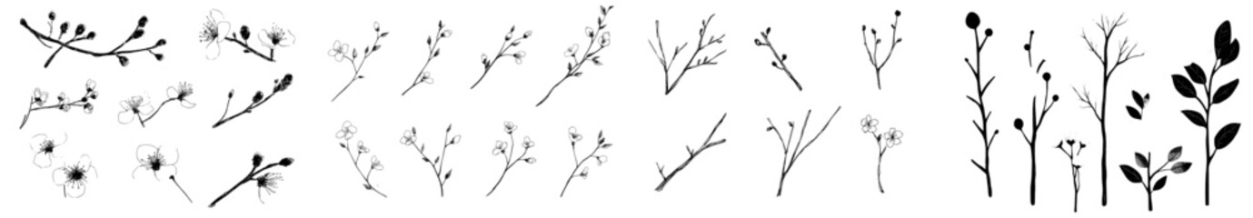 A hand drawn set of almond blossoms is available, featuring spring flowers, leaves, buds, and branches, along with isolated elements of sakura, cherry, apple, and plum blossoms on a white background