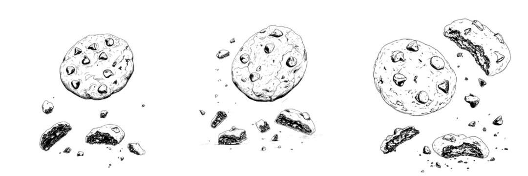 The illustration is a modern hand drawn depiction of cookies, including chocolate chip varieties with crumbs, both bitten and intact, as well as homemade biscuits