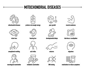 Mitochondrial Disease symptoms, diagnostic and treatment vector icon set. Line editable medical icons