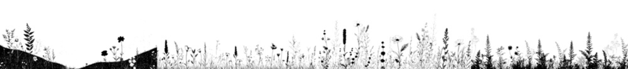 Modern illustration of hand drawn wild flowers along the field border
