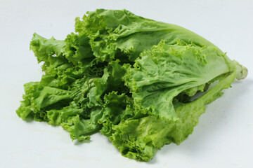 Fresh Green Leaf Lettuce