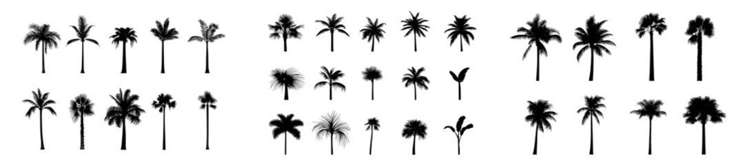 Fototapeta premium A contemporary set of single-color palm tree icons, hand-drawn in monochrome, suitable for cutting and tattoo designs, featuring minimalist art elements
