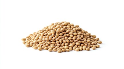 Fototapeta premium Pile of Soybeans on White Background