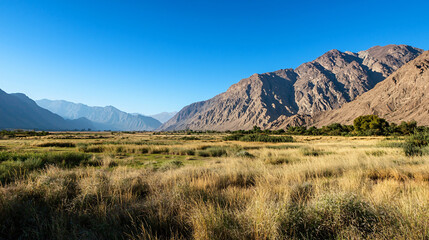 picturesque mountain landscape with clear blue sky, showcasing vast grassy fields and rugged terrain. serene environment invites tranquility and exploration