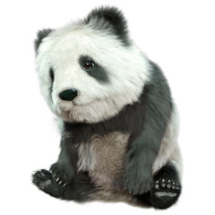 3D Rendering Panda Bear on White © photosvac
