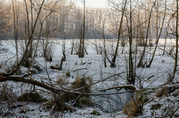 river in winter