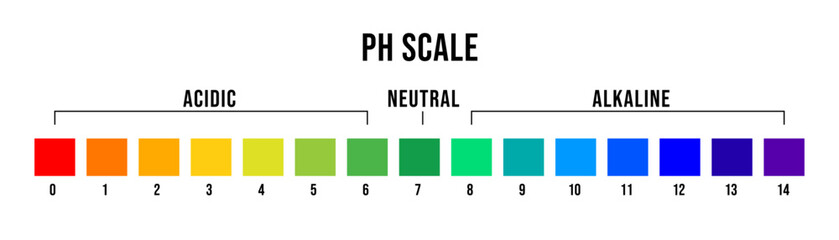 Vector illustration of pH scale. Chart ph alkaline and acidic level