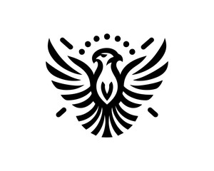 Eagle logo design icon vector template. Black eagle logo