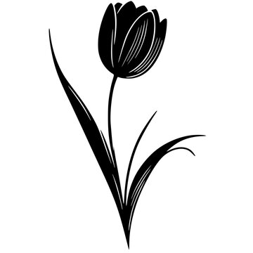 black tulip flower stem leaves clip art preview