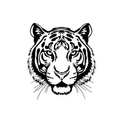 A tiger head sketch. Black and white clip art. Realistic tiger freehand drawing.