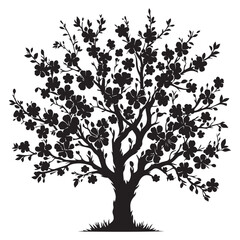 Blossoming cherry tree Silhouette Vector Illustration, Solid White Background.