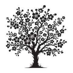 Blossoming cherry tree Silhouette Vector Illustration, Solid White Background.