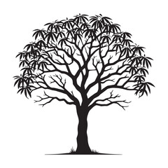 Obraz premium Premium Mango Tree silhouette offering a stylish and elegant touch - Mango tree illustration - Mango tree vector - Mango silhouette 