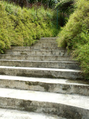 Set of cement concrete steps leading up to a building. The steps are surrounded by bushes