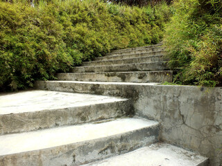 Set of cement concrete steps leading up to a building. The steps are surrounded by bushes