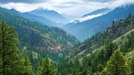 Obraz premium Mountain valley landscape, scenic view, cloudy sky, tranquil nature