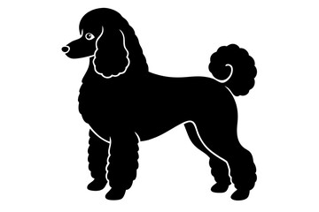 poodle silhouette vector