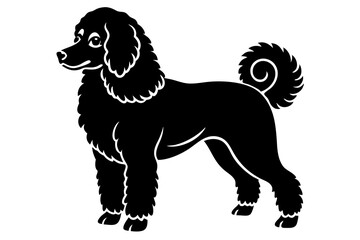 poodle silhouette vector