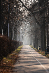 Zabytkowe kamienice Cieszyn, Polska. © Elżbieta Kaps