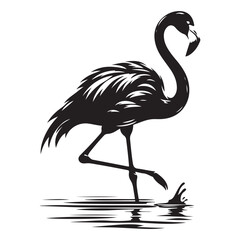 Flamingos standing in water Silhouette Vector Illustration, Solid White Background.