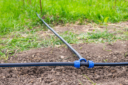 Carrying out drip irrigation. Mounted HDPE pipe, connected with a tee on the garden plot