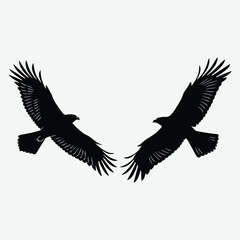  A hawk soaring through the sky  silhouette design art with illustration