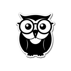 owl on white background