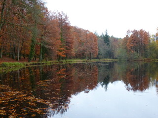 Etang de la Herse en automne, Saint-Martin-du-Vieux-Bellême, Normandie