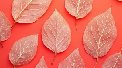 Obraz premium Delicate leaf skeletons on vibrant red background